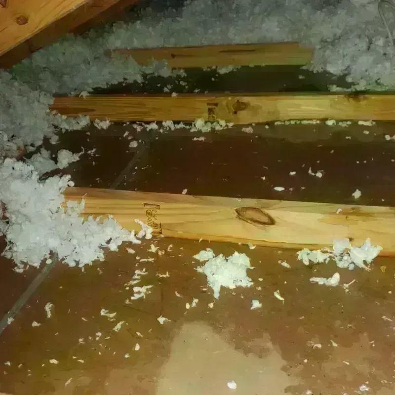 Attic Water Damage in Delta, UT