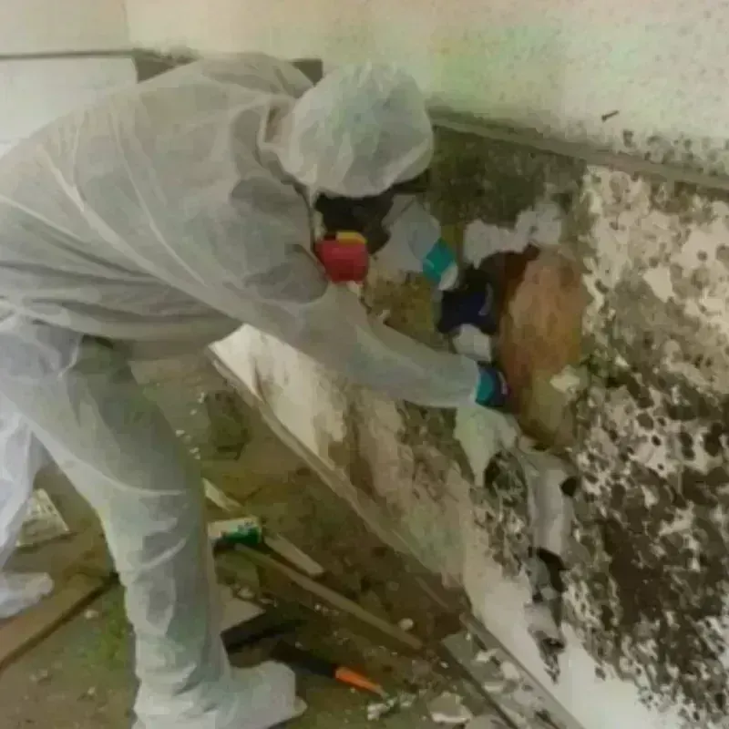 Mold Remediation and Removal in Delta, UT