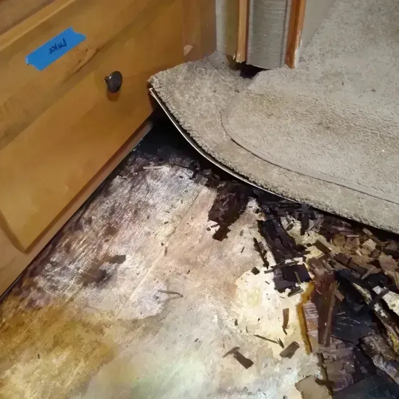 Wood Floor Water Damage in Delta, UT